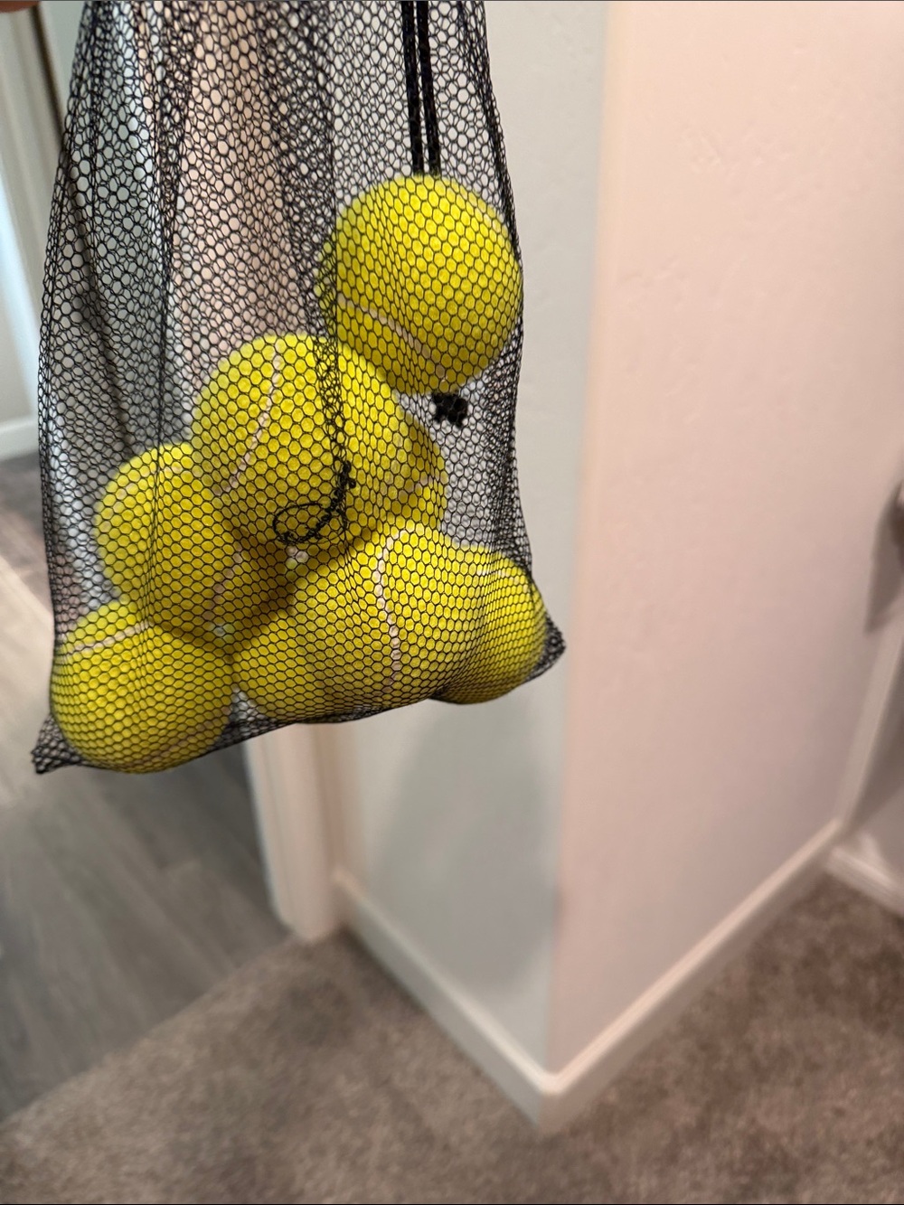 Yellow Practice Tennis Balls in Black Mesh Bag